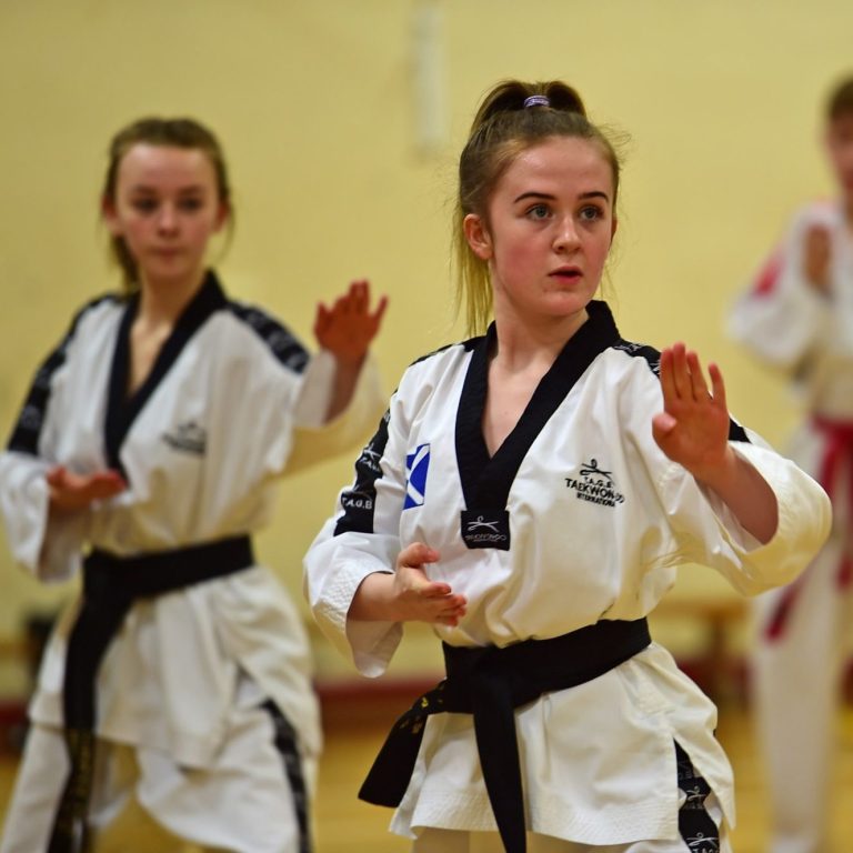Senior Classes from 13 years to adult Two young martial artists practicing taekwondo in a training hall.